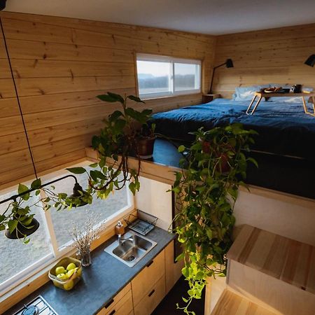 Pop Tiny House Nagymaros Apartment Екстериор снимка